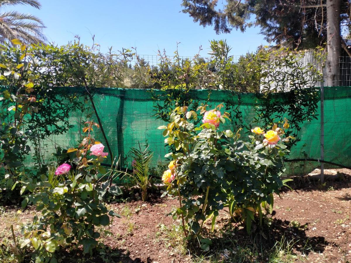 Le Rose Lägenhet Olmedo Exteriör bild