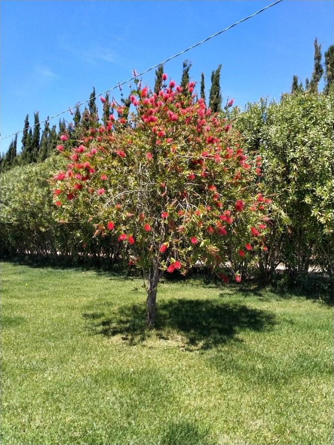 Le Rose Lägenhet Olmedo Exteriör bild