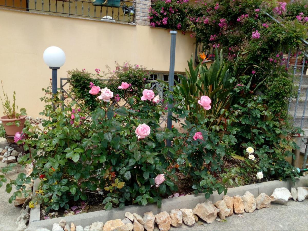 Le Rose Lägenhet Olmedo Exteriör bild